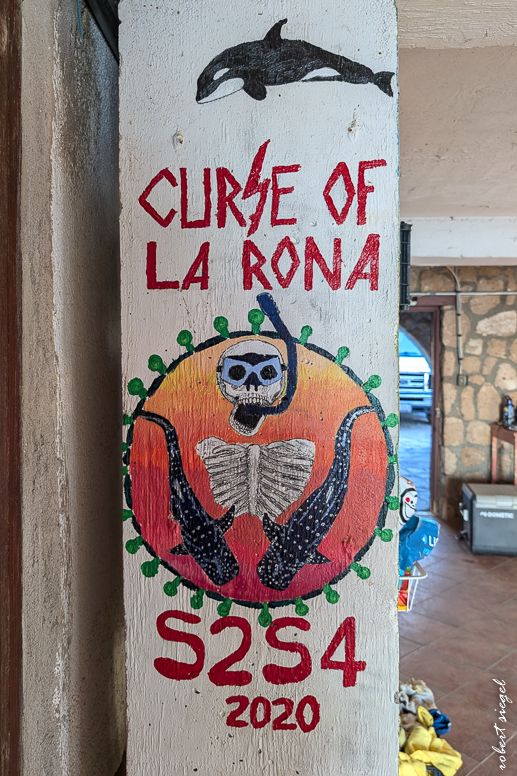baja 2024